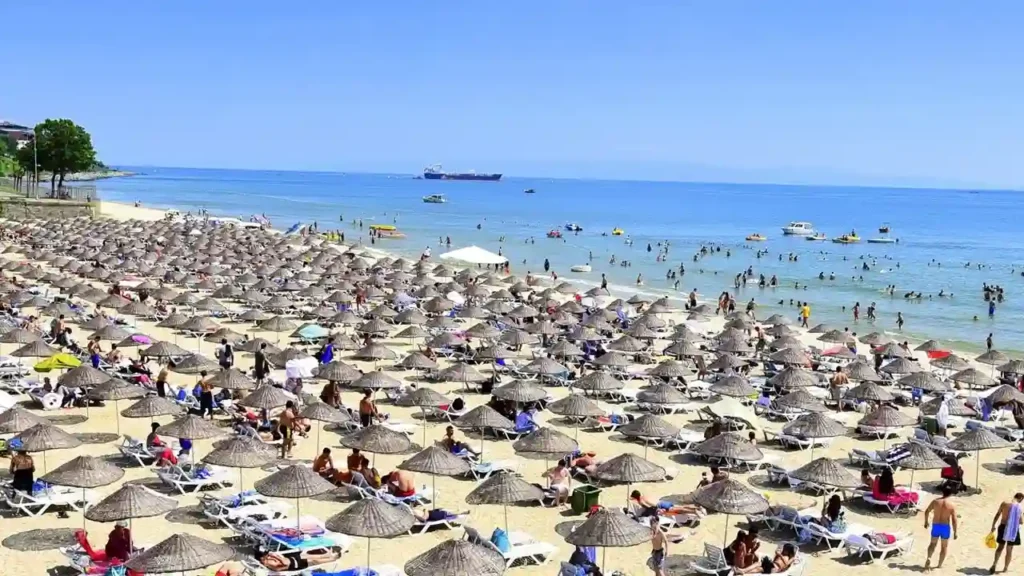 ساحل فلوریا