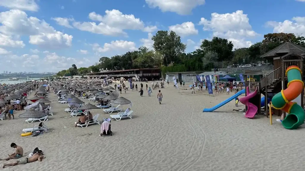 زمین بازی کورکان در فلوریا