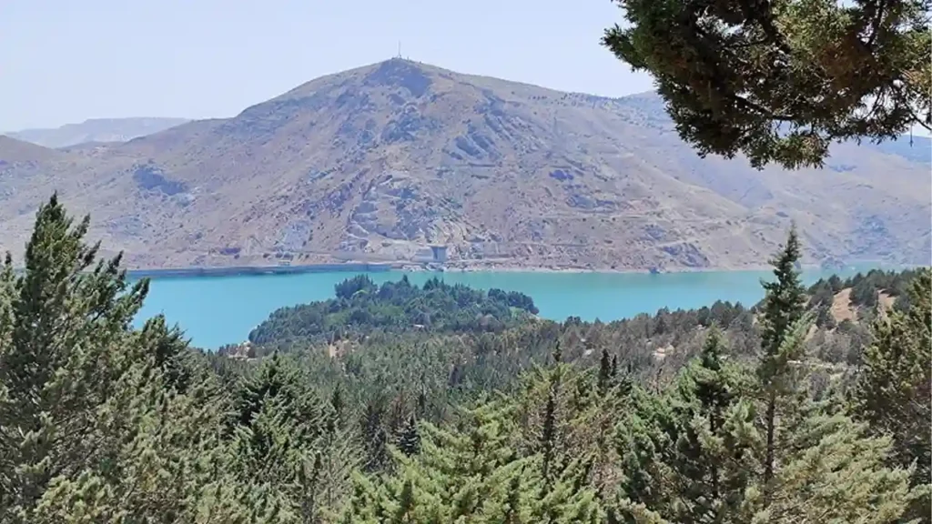 پارک جنگلی لتیان