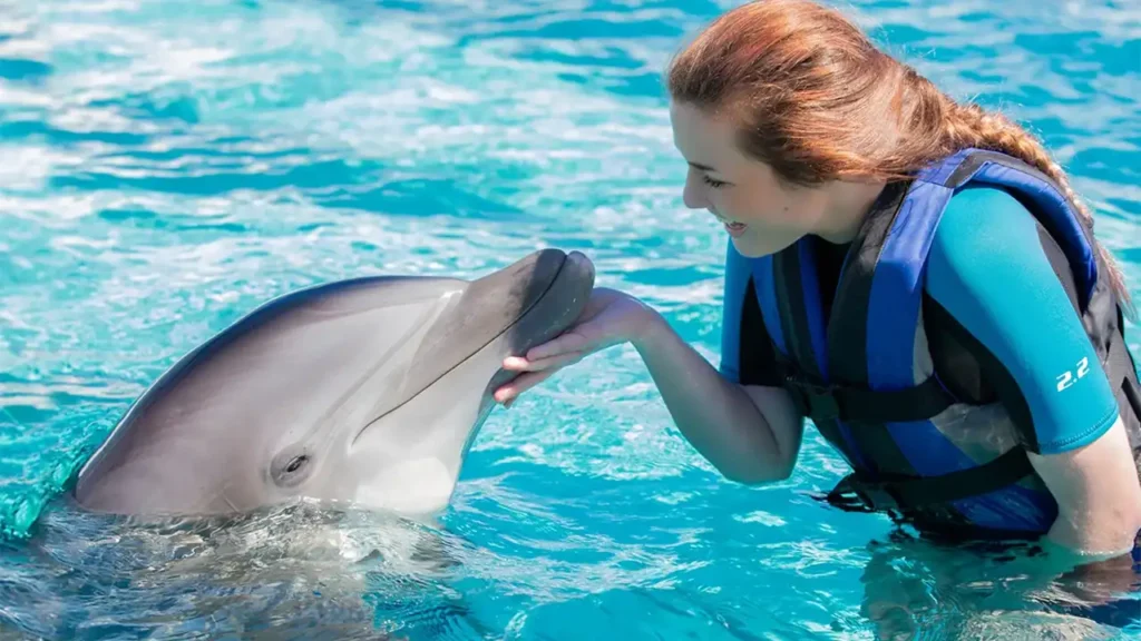 آشنایی با محیط زیست دریایی