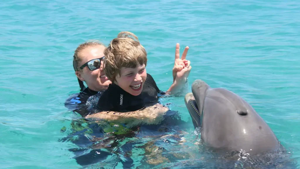 شنا در کنار دلفین ها