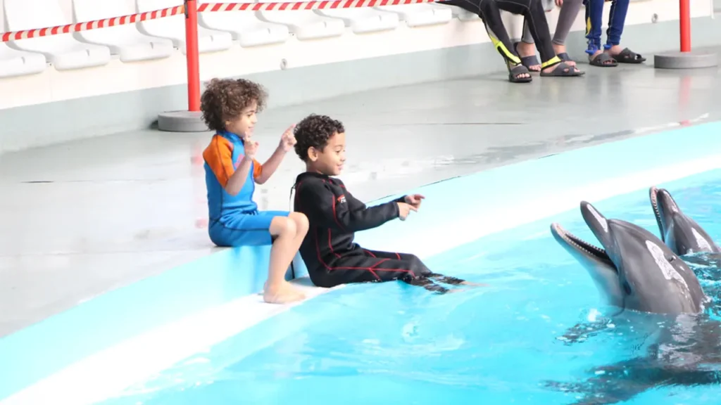 آموزش کودکان در دلفیناریوم