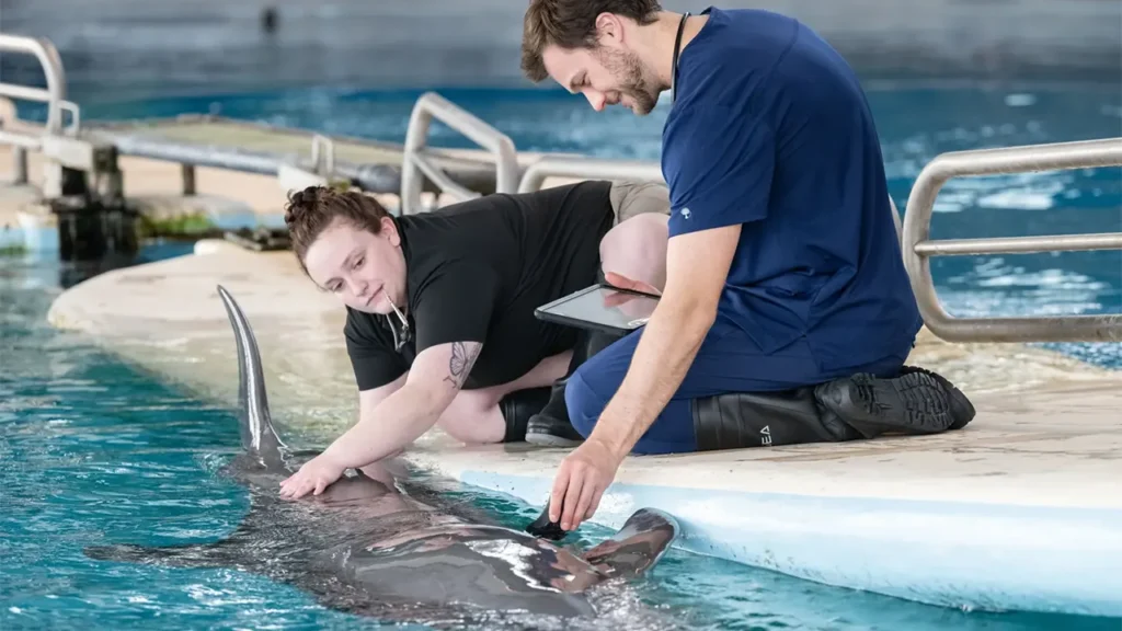 نگهداری از پستانداران دریایی