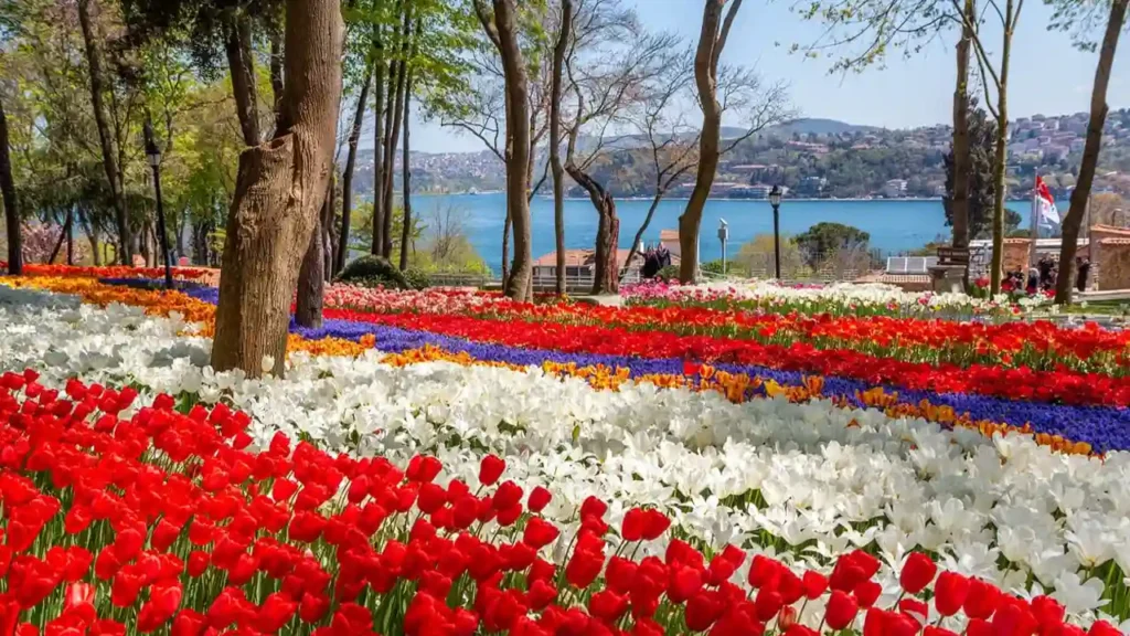 جشنواره لاله ار فستیوال های ترکیه