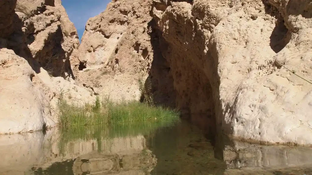 تنگ هیخ