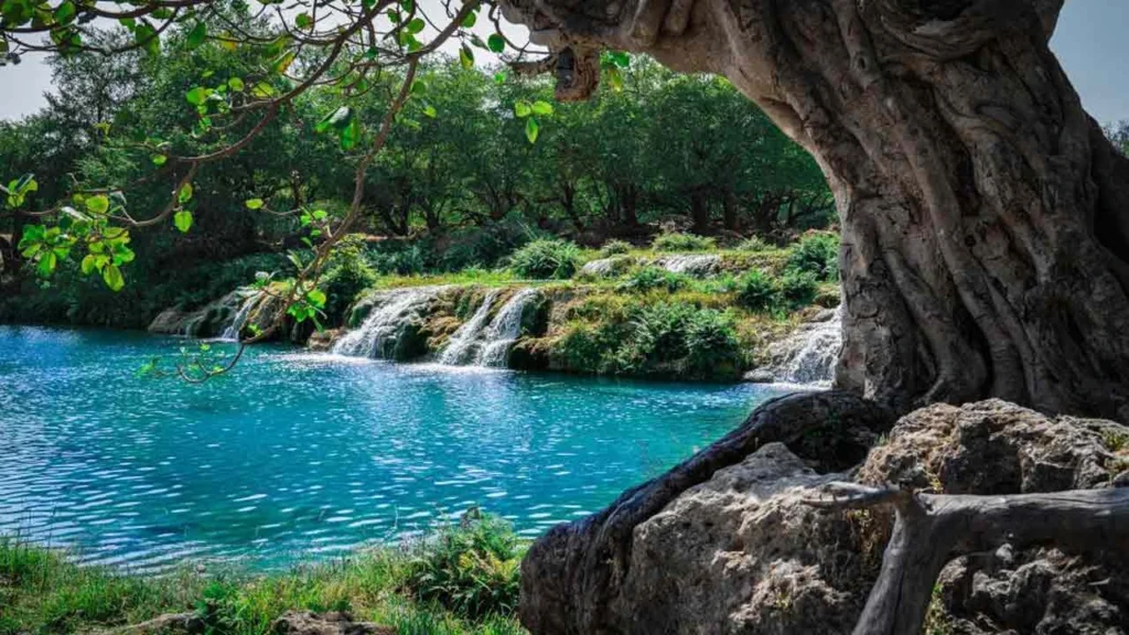 صلاله از دیدنی های عمان