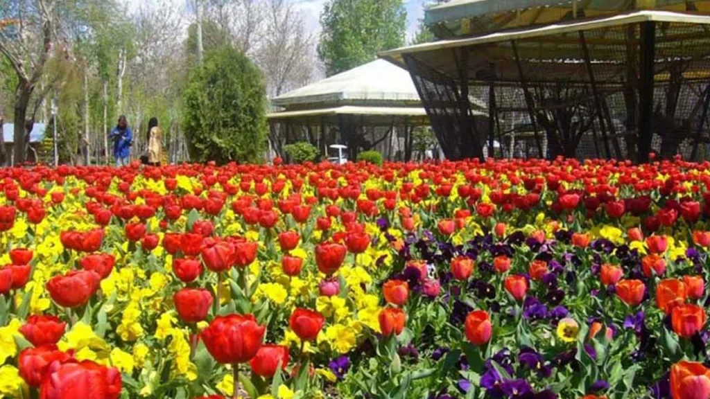 باغ گل کرج