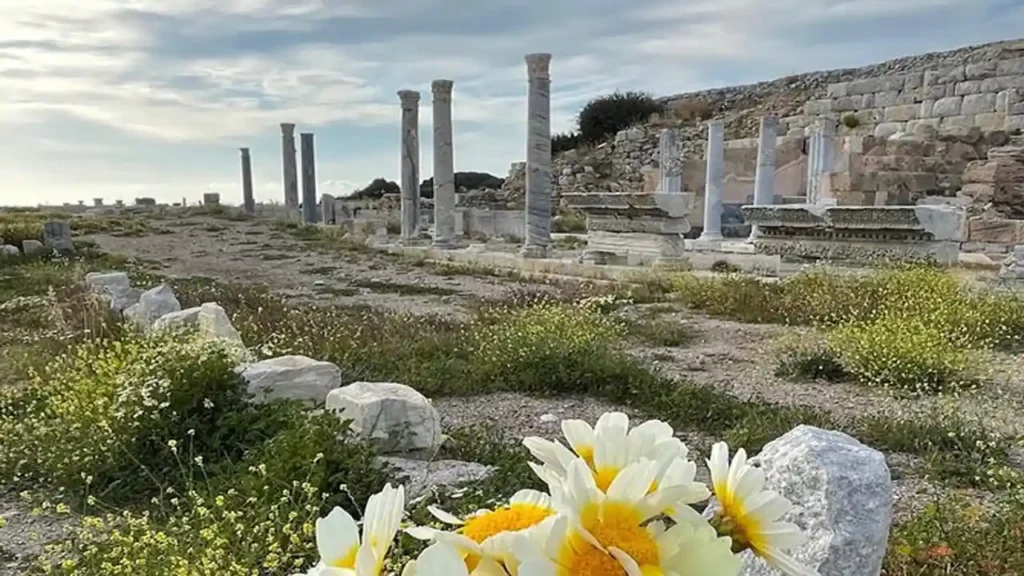 کنیدوس بدروم