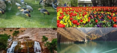 بهترین جاهای دیدنی کرج