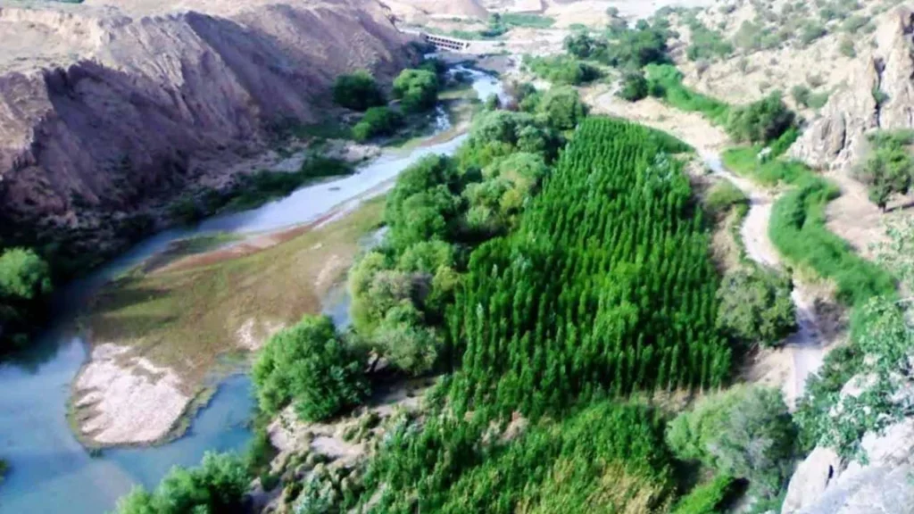 تنگه بلاغی پاسارگارد