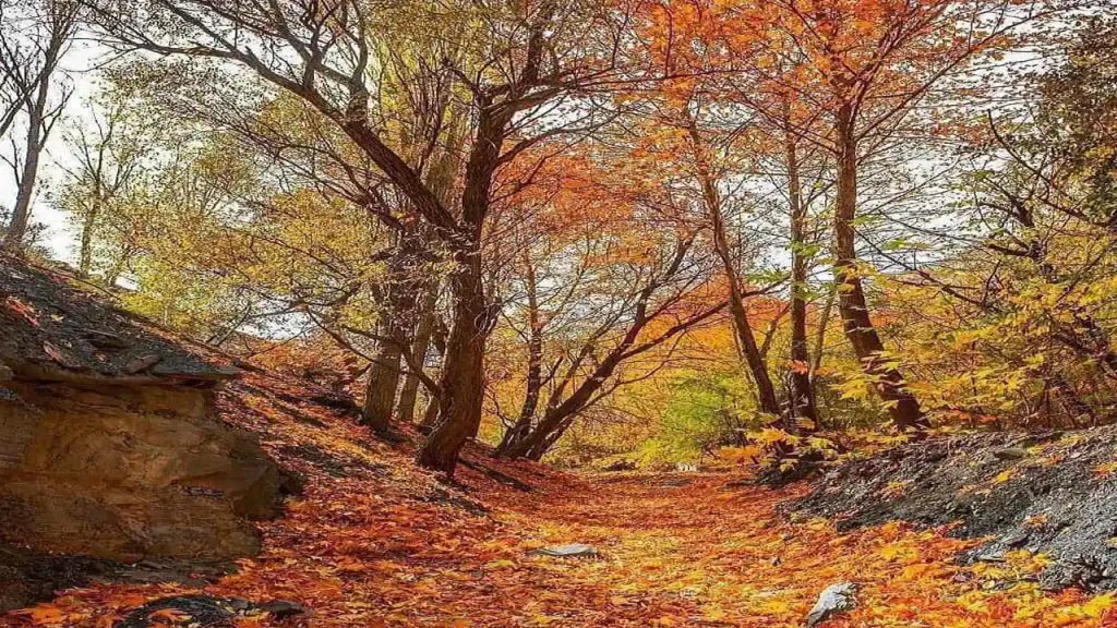 روستای قلات شیراز در پاییز